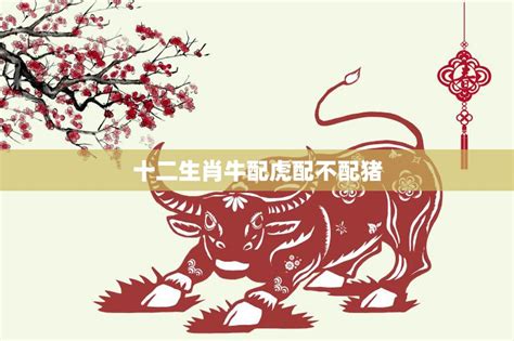 雞虎配|【虎配雞】虎配雞：史上最強婚姻組合？屬虎與屬雞配對全攻略